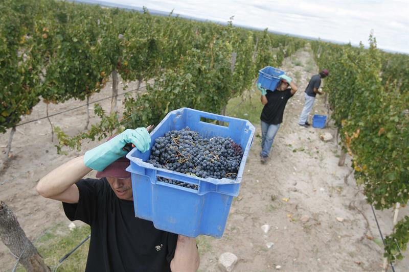  Den argentinska regeringen avstÃ¥r frÃ¥n att Ã¶ka skatten pÃ¥ vin och mousserande viner