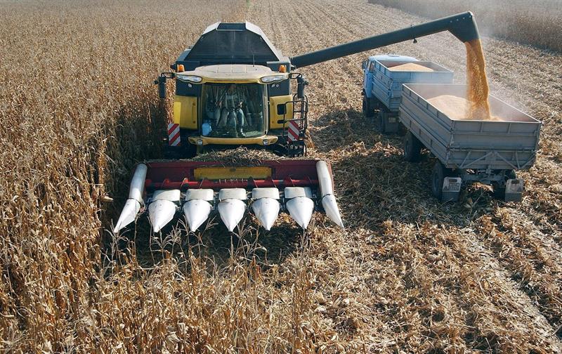  Leveranser frÃ¥n Argentina och Brasilien minskar majspriserna i regionen, enligt FAO